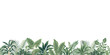 © good_mood - Botanical leaves, plants seamless border. Tropical floral banner.