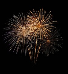 Poster - Golden fireworks exploding in the night sky