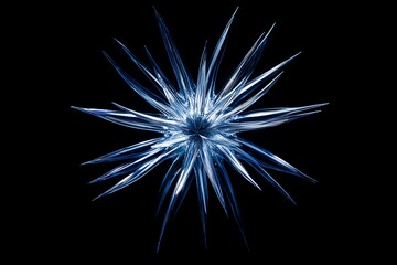 Poster - Abstract blue starburst on black background.