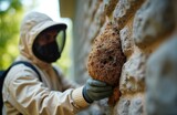 Pro in protective suit carefully removes wasp nest attached to house stone wall. Specialist exterminates bees outdoors. Pest control service for residential area, ensuring home safety against insects.