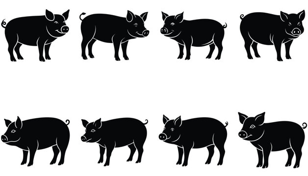 Pig Silhouette Collection. pig vector shilhouette bundle . pig set icon.