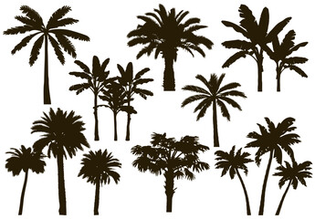  Palm tree silhouettes against the sun and sea, tropical landscape for summer design, exotic trees for background and decorative elements