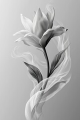 Poster - Ethereal flowers enveloped in a translucent white sheet, creating a dreamy atmosphere.