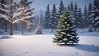 © Sayfar - Firmly Placed Fir Christmas Tree in Snowy Yard , serene, winter scene, yard