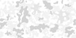 © Tupungato - Camo pattern design. Military camouflage fashion print texture. Grey winter camouflage graphic design.