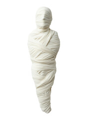 Poster - White sculpture with a long neck displayed against a plain background in an art gallery setting isolated on transparent background.