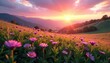 © methinee - Soft pink hues illuminate the meadow as morning light creeps over the hills, flowers, sunrise
