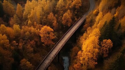 Poster - Wooden bridge crossing through a vibrant autumn forest at sunset, showcasing a picturesque landscape filled with colorful leaves, tranquil streams, and warm golden hour light
