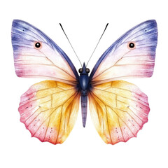 Poster - Watercolor painting of a butterfly on a black background with intricate details and vibrant colors isolated on transparent background..