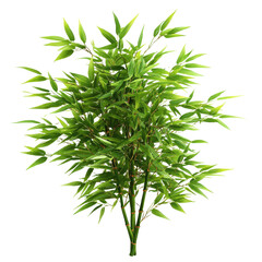 Poster - Green plant with leaves isolated on a black background showcasing natural beauty and simplicity isolated on transparent background..