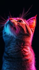 Poster - Profile of a cat with colorful neon lighting against a black background, artistic feline portrait. Modern digital art and pet photography concept