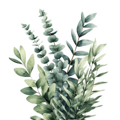 Poster - Green plant with vibrant leaves isolated on a black background for design and decoration purposes isolated on transparent background..