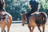 Two riders on horseback enjoy a tranquil ride outdoors. The image captures the essence of equestrian leisure and the bond between humans and horses in a natural setting.
