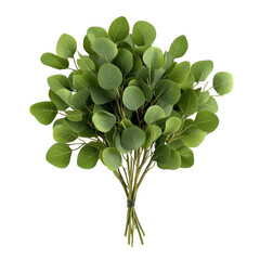 Poster - Bunch of vibrant green leaves arranged on a solid black background for a striking contrast in nature imagery isolated on transparent background..