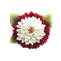 Poster - White and red flower with green leaves natural floral arrangement close up photography isolated on transparent background..
