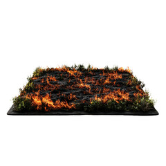 Poster - Fire flames burning brightly on a dark black background creating a dramatic and intense visual impact isolated on transparent background..
