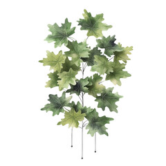 Poster - Bunch of green leaves on a black background with natural texture and detail isolated on transparent background..