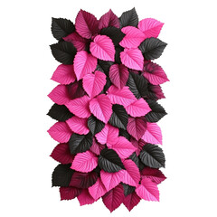 Poster - Close up of pink and black leaves with intricate patterns on a natural background isolated on transparent background..