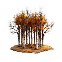 Poster - Group of trees with vibrant orange leaves during autumn season in a natural outdoor setting isolated on transparent background..