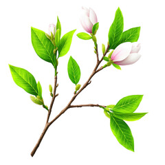 Poster - Branch with pink flowers and green leaves against a natural background in springtime isolated on transparent background..