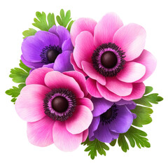 Poster - Three pink and purple flowers surrounded by green leaves in a natural setting isolated on transparent background..