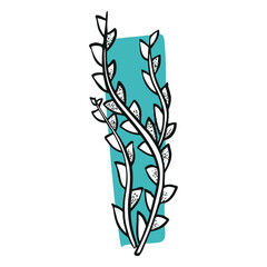 Poster - Botanical Illustration: A stylized illustration showcases elegant plant sprigs with delicate leaves, artfully arranged against a soft, turquoise backdrop, embodying the essence of botanical art
