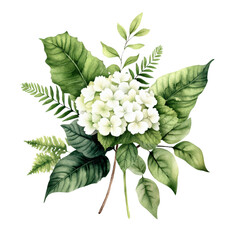 Poster - White flower with green leaves on a black background showcasing natural beauty and simplicity isolated on transparent background..