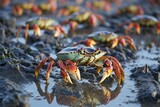Colorful crabs in muddy coastal habitat with reflective water