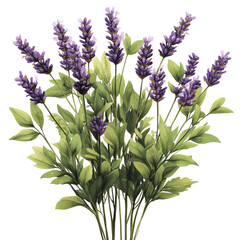 Poster - Bunch of purple flowers arranged on a black background showcasing natural beauty and elegance isolated on transparent background..