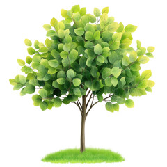 Poster - Tree with green leaves isolated on black background for nature and botanical illustrations isolated on transparent background..