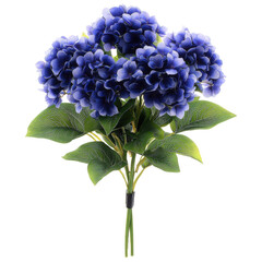 Poster - Bunch of vibrant blue flowers on a solid black background creating a striking visual contrast isolated on transparent background..
