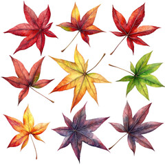 Poster - Four different colored leaves on white background nature seasonal change concept isolated on transparent background..