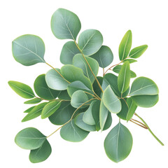 Poster - Close up of a bunch of vibrant green leaves on a dark black background for nature and design concepts isolated on transparent background..