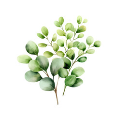 Poster - Plant with green leaves isolated on a black background with natural textures and shapes isolated on transparent background..