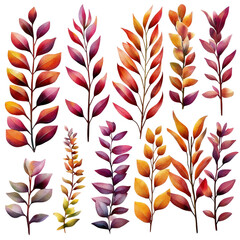 Poster - Colorful autumn leaves arranged on a black background showcasing natures vibrant seasonal palette isolated on transparent background..