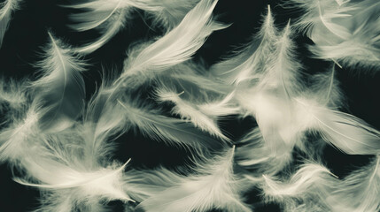 Poster - Graceful drift of feathers in soft light for tranquil atmosphere design