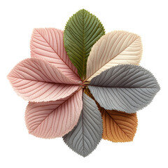Poster - Pink and green leaf on black background with unique texture and color contrast for natural design projects isolated on transparent background..