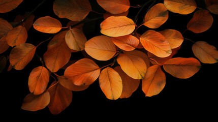 Poster - Autumn leaves falling against a dark background for seasonal design and decoration