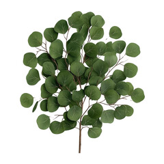 Poster - Green tree with leaves isolated on a black background in a minimalist design concept for nature themes isolated on transparent background..