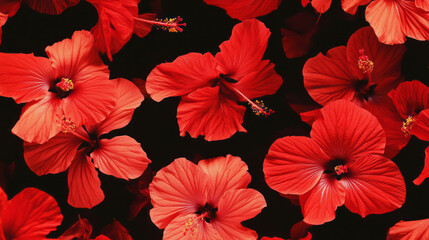 Poster - Vibrant hibiscus flower background with falling red petals for nature and floral design