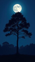 Wall Mural - Silhouetted tree against dark blue sky with full moon above, forest, shadows