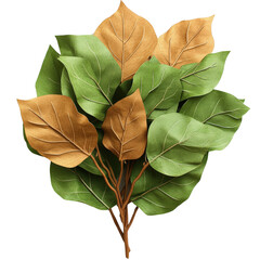 Poster - Close-up of a cluster of green leaves with sunlight shining through the foliage isolated on transparent background..