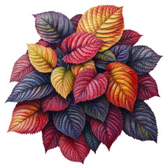 Poster - Colorful autumn leaves in various shades of red orange yellow and green scattered on the ground isolated on transparent background..