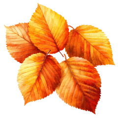 Poster - Three orange and yellow leaves on a tree branch against a blurred background of green foliage isolated on transparent background..