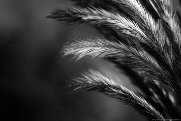 Poster - A close-up shot of a plant in monochrome tones