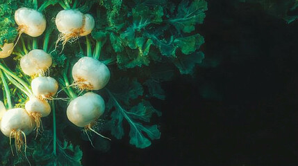 Aufkleber - Floating celeriac roots with lush greenery on a dark background for natural food design