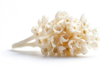 Poster - A bouquet of white flowers sitting on a white surface, perfect for decoration or as a symbol of purity