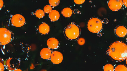 Poster - Vibrant sea buckthorn berries floating against dark background