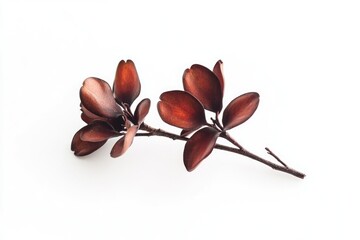 Aufkleber - Close-up view of a single flower on its stem, photographed against a blurred background