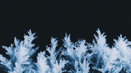 Poster - Winter wonderland: frozen branches on dark background for seasonal design